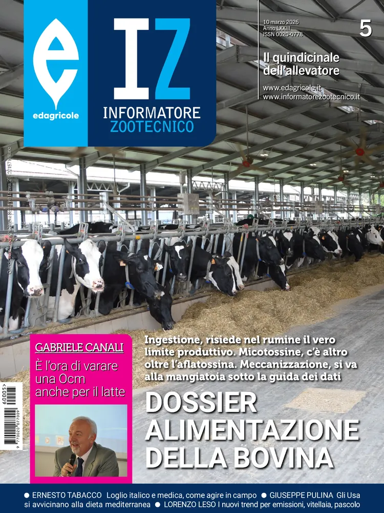 n.5 - Marzo 2026