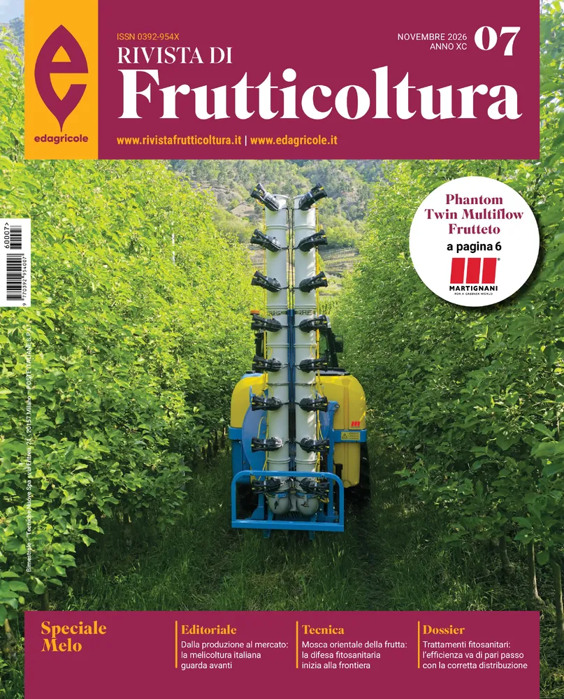 n.7 - Novembre 2026