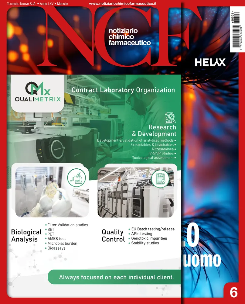n.6 - Giugno 2026