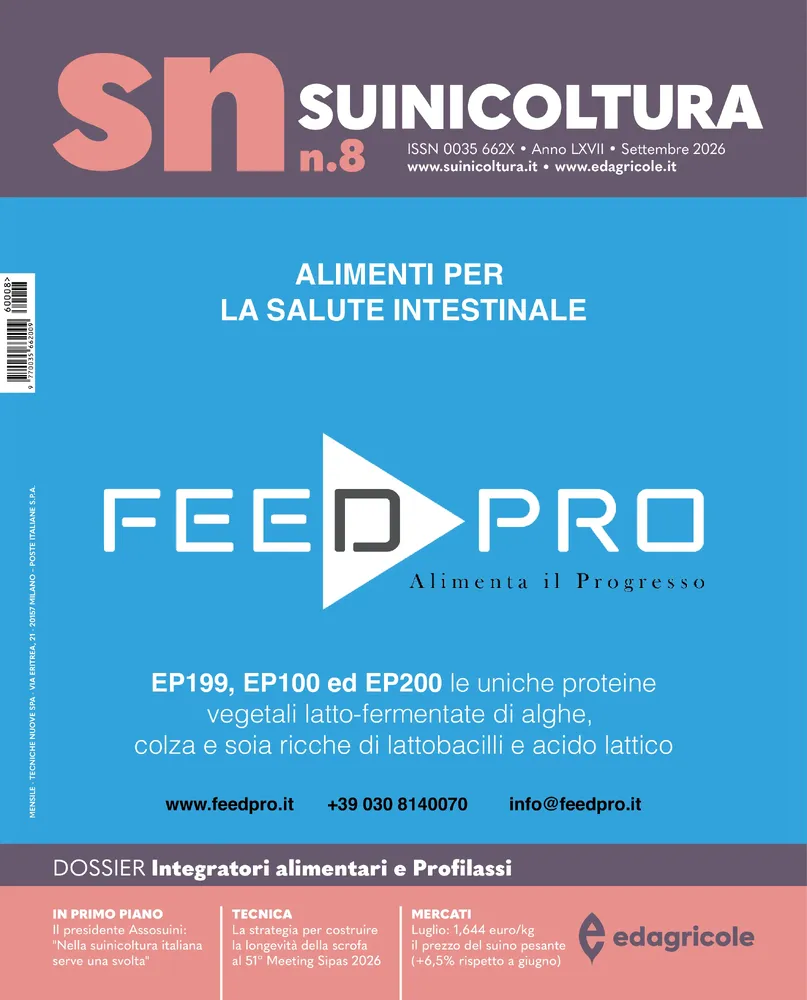 n.8 - Settembre 2026