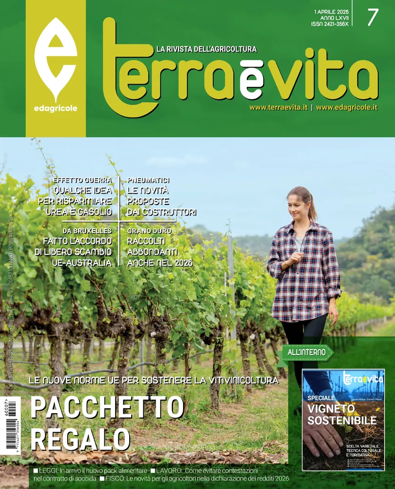 n.7 - 1 Aprile 2026