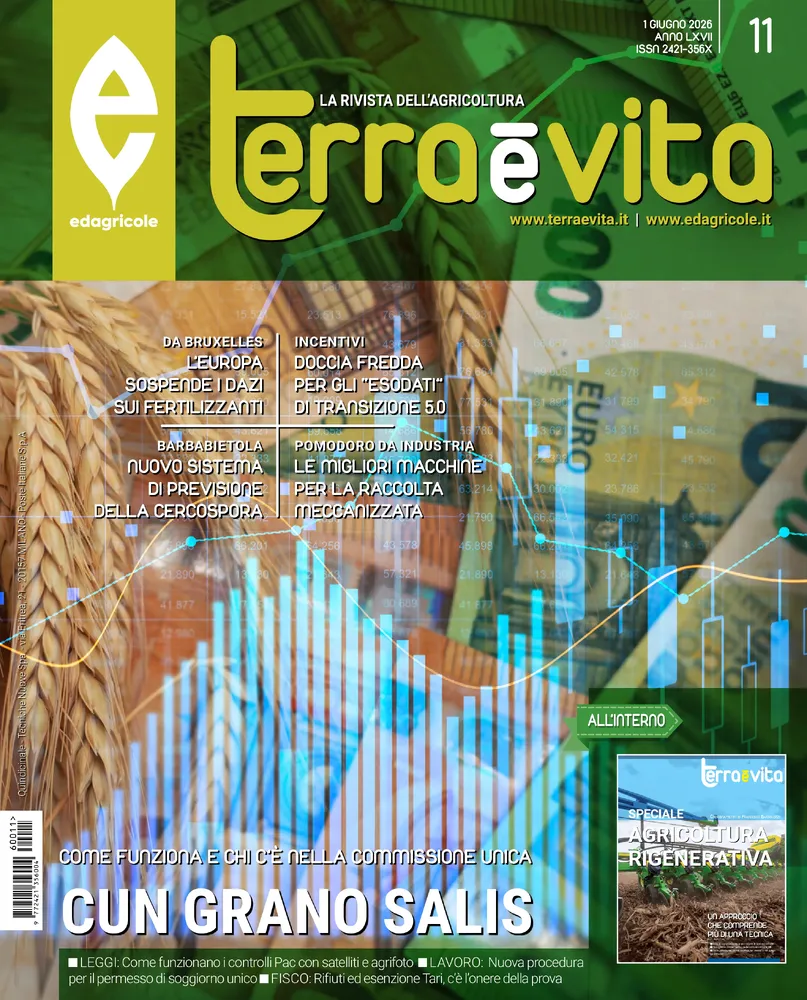 n.11 - 1 Giugno 2026