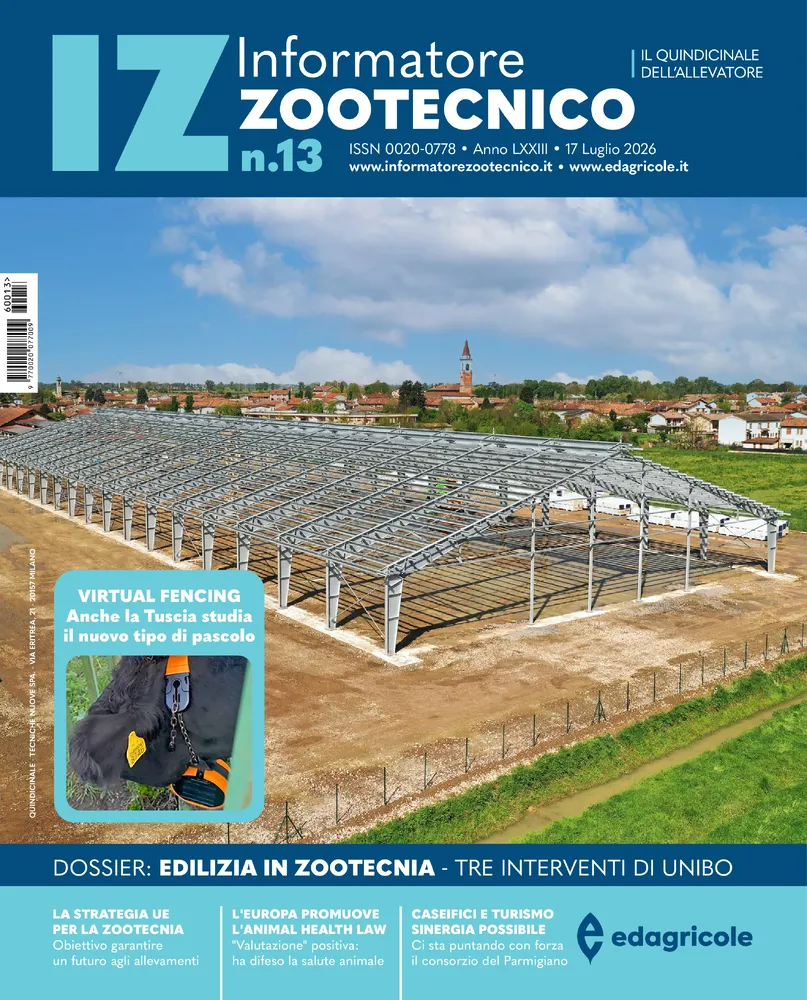 n.13 - Luglio 2026