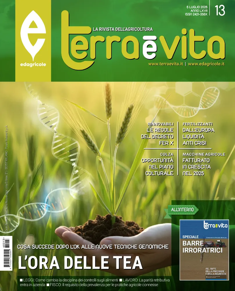 n.13 - 6 Luglio 2026