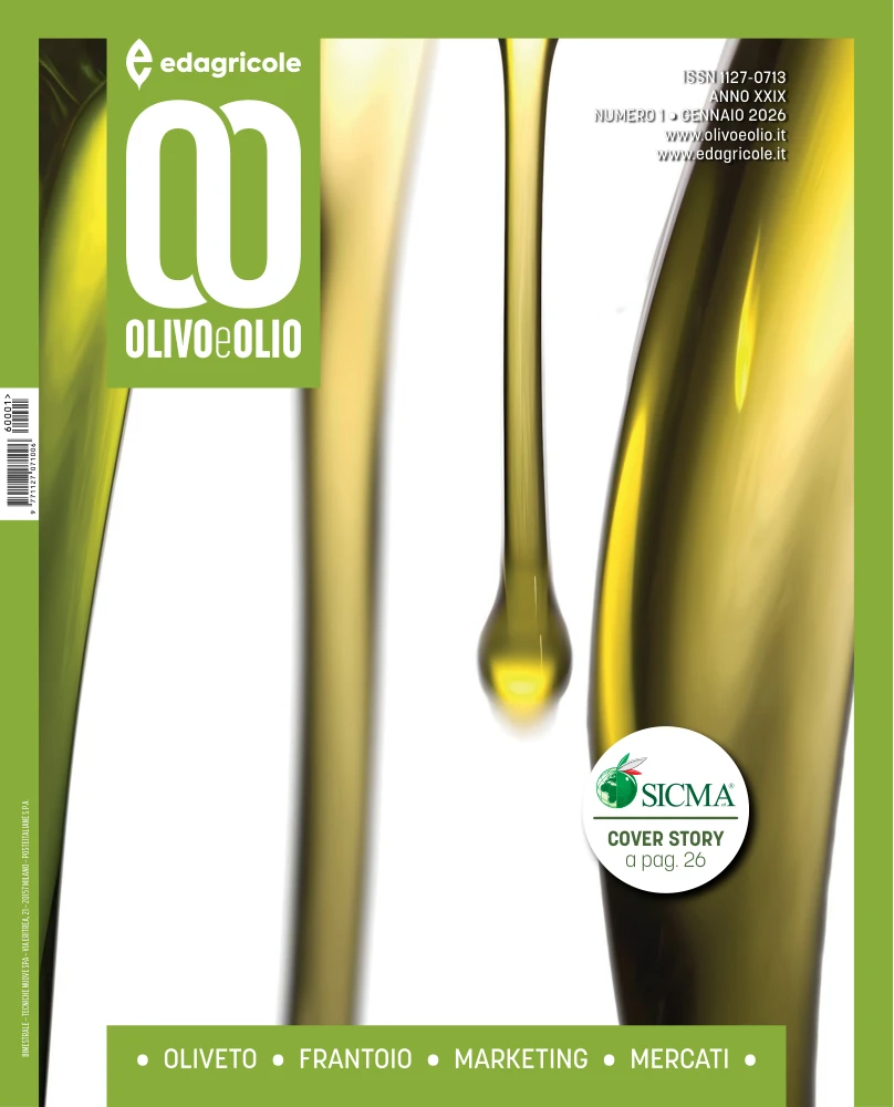 n.1 - Gennaio 2026