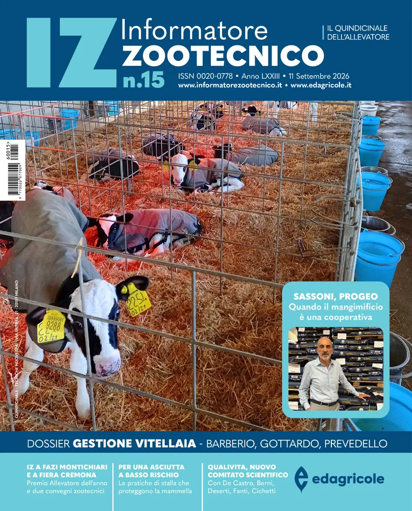 n.15 - Settembre 2026