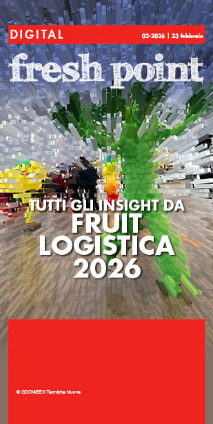 n.2 - 2026